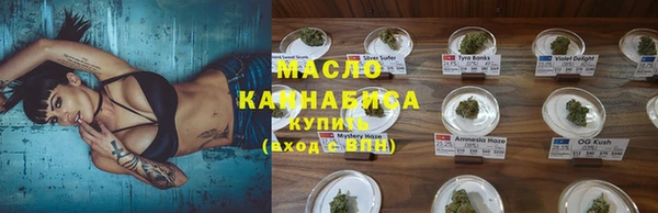 крисы Абаза