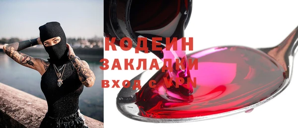 крисы Абаза