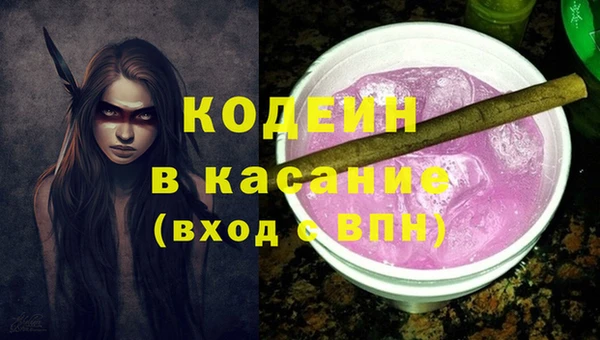 крисы Абаза