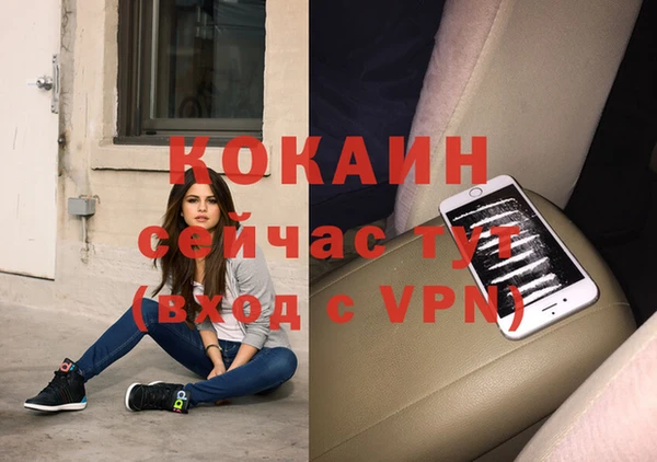крисы Абаза