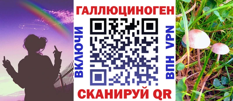 omg онион  Ирбит  Галлюциногенные грибы мицелий 